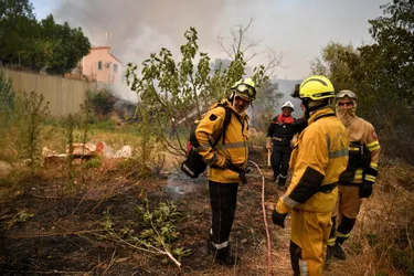 Des dizaines de milliers d'hectares brûlés en Grèce : « On ne voyait même plus le soleil... »