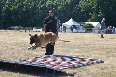 Le club d’éducation canine a organisé le concours d’agility en ring, sur deux jours fin juillet