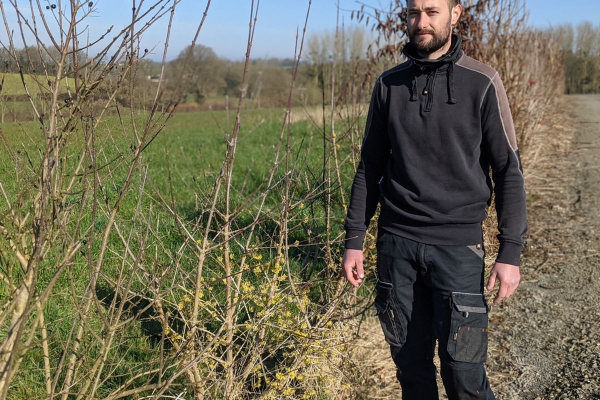 La haie, une « alliée » de taille dans le parc naturel régional du Perche