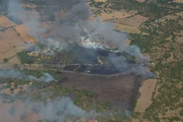 L'incendie a détruit 40 hectares de végétation