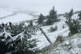 La neige a fait son retour en Auvergne
