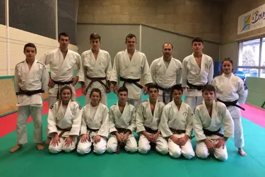 Stage de cohésion pour les judokas
