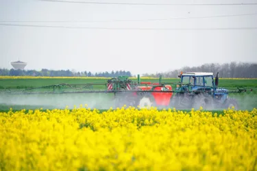Un agriculteur à l’amende pour avoir utilisé un herbicide de manière inappropriée