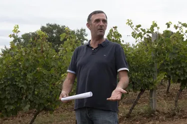 En quoi consiste le projet de biodiversité viticole lancé par Philippe Leymat à Branceilles (Corrèze) ?