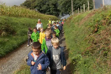 Les écoliers sur les sentiers de randonnée