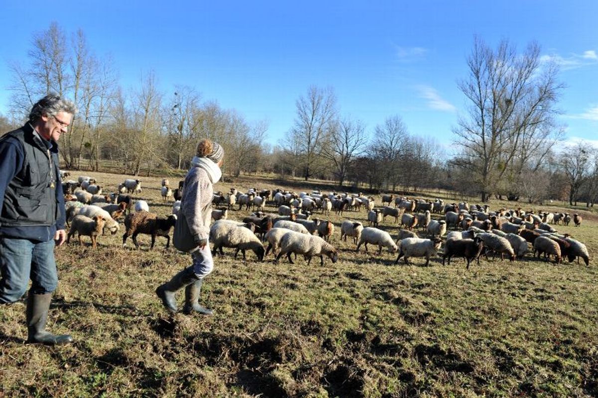Où sortir ce week-end dans la Nièvre ? - Le Journal du Centre