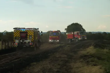 Trois hectares de chaumes ont brûlé à Maillet
