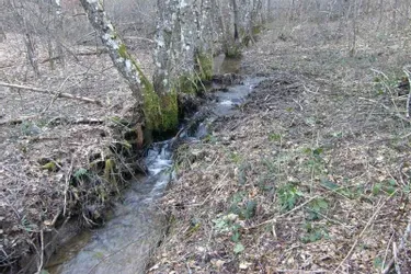 Les affluents du ruisseau restaurés
