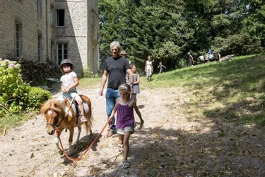 Des poneys au château de Beauvoir