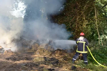 Plus de trois hectares de broussailles partent en fumée à Saint-Marc-à-Frongier