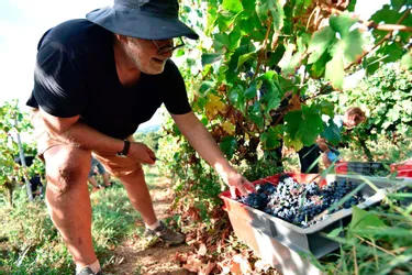 Les vins de Corrèze bénéficient désormais d’une protection à l’échelle européenne