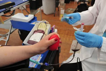Don du sang : les Auvergnats remportent la Palme de la générosité