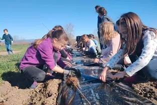 50 élèves de Beauregard-l’Évêque ont planté près de 600 arbustes pour constituer une haie pour la biodiversité