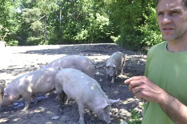 Stéphane Ledou fait découvrir pendant tout l’été son exploitation agricole porcine à Pers