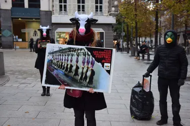À Clermont-Ferrand, un défilé d'Halloween de l'association L214 pour dénoncer l'exploitation animale
