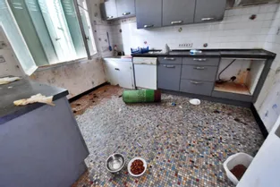 Comment une propriétaire a retrouvé sa maison d'Objat après l'évacuation de la trentaine de chats nourris par sa locataire