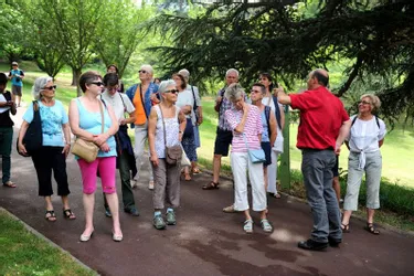 Mélange d’histoire et de savoirs, récit d’une promenade botanique dans les avenues du parc Bargoin