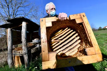 En Corrèze, un apiculteur lance l'alerte : "il faut combattre le frelon asiatique"