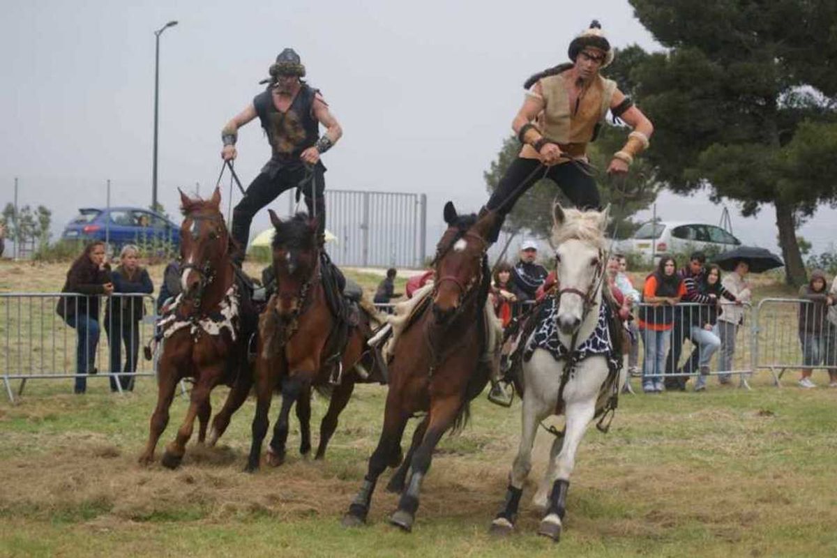 VISITE + SPECTACLE J'EN PARLERAI À MON CHEVAL