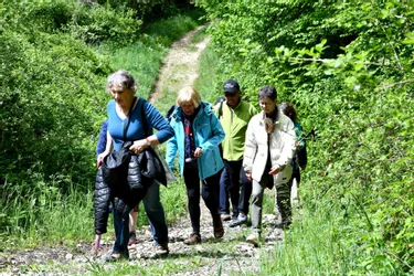 Une randonnée pour lutter contre la sclérose en plaques, ce samedi 12 juin à Chard (Creuse)
