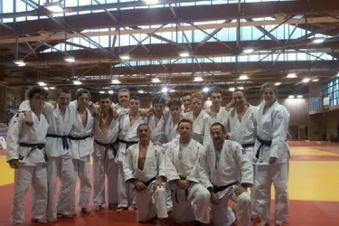 Judokas en stage de ne waza