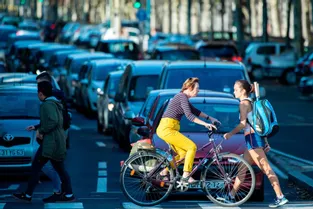 Baromètre des villes cyclables : Strasbourg et Grenoble restent les capitales du vélo
