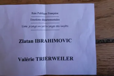 En Haute-Loire, une voix pour le binôme Trierweiler/Ibrahimovic