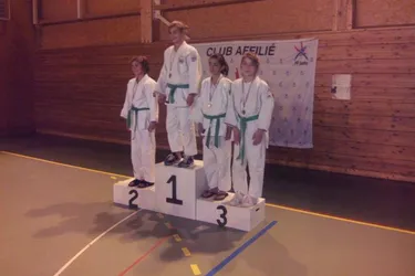 Premiers podiums pour les benjamins du Judo-club castelpontin