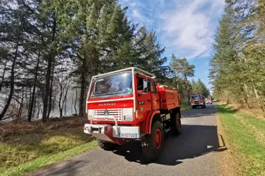 Soixante-cinq hectares de forêt détruits dans les communes d'Espagnac et de Pandrignes en Corrèze