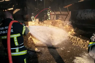 Un entrepôt de production de granulés bois détruit par un incendie