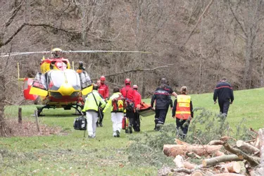 Un quinquagénaire grièvement blessé en Haute-Loire en coupant du bois