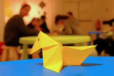 À Vichy (Allier), une invitation à participer à une création artistique et solidaire autour de l'origami
