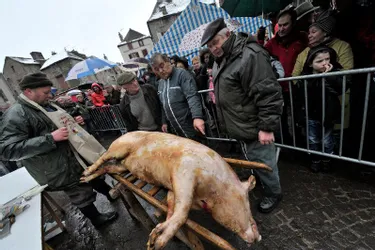XXe Saint-Cochon à Besse: le cochon fêté sous toutes ses formes