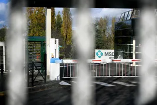 Quatre entreprises françaises sont candidates à la reprise du site de MSD Chibret à Riom (Puy-de-Dôme)