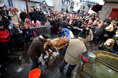 A Besse (Puy-de-Dôme), la Saint-Cochon laisse place à Festi'soupes