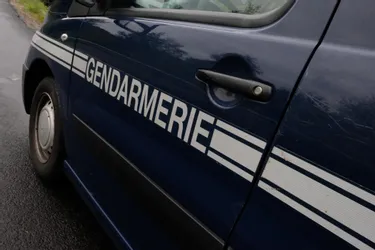 Puy-de-Dôme : au volant avec 2,54 grammes d'alcool, le retraité part au fossé