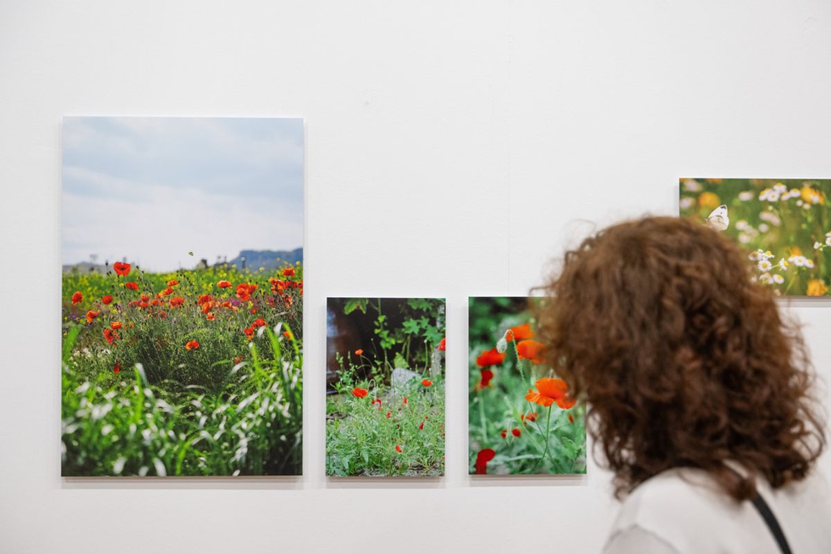 Les détails de la vie ordinaire par un photographe coréen exposés à ...