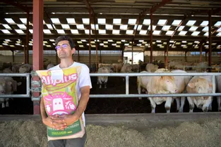 A Neuilly-en-Donjon, France Aliplus fabrique un complément alimentaire «maison» pour le bétail