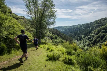 Le Sancy Trail donnera le départ de la saison dans le Puy-de-Dôme le dimanche 20 juin