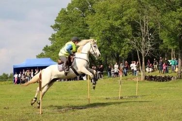 Equitation : le championnat régional de TREC aura lieu dimanche