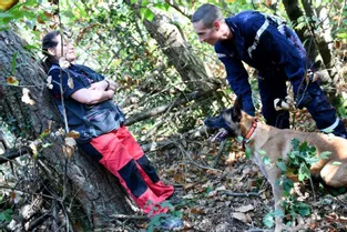 Les chiens des sapeurs-pompiers de Corrèze sont formés à la recherche de personnes disparues