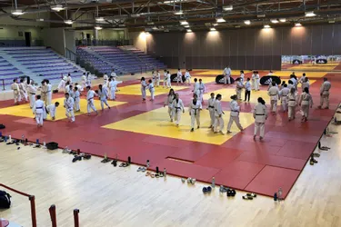 Le retour des judokas sur les tatamis