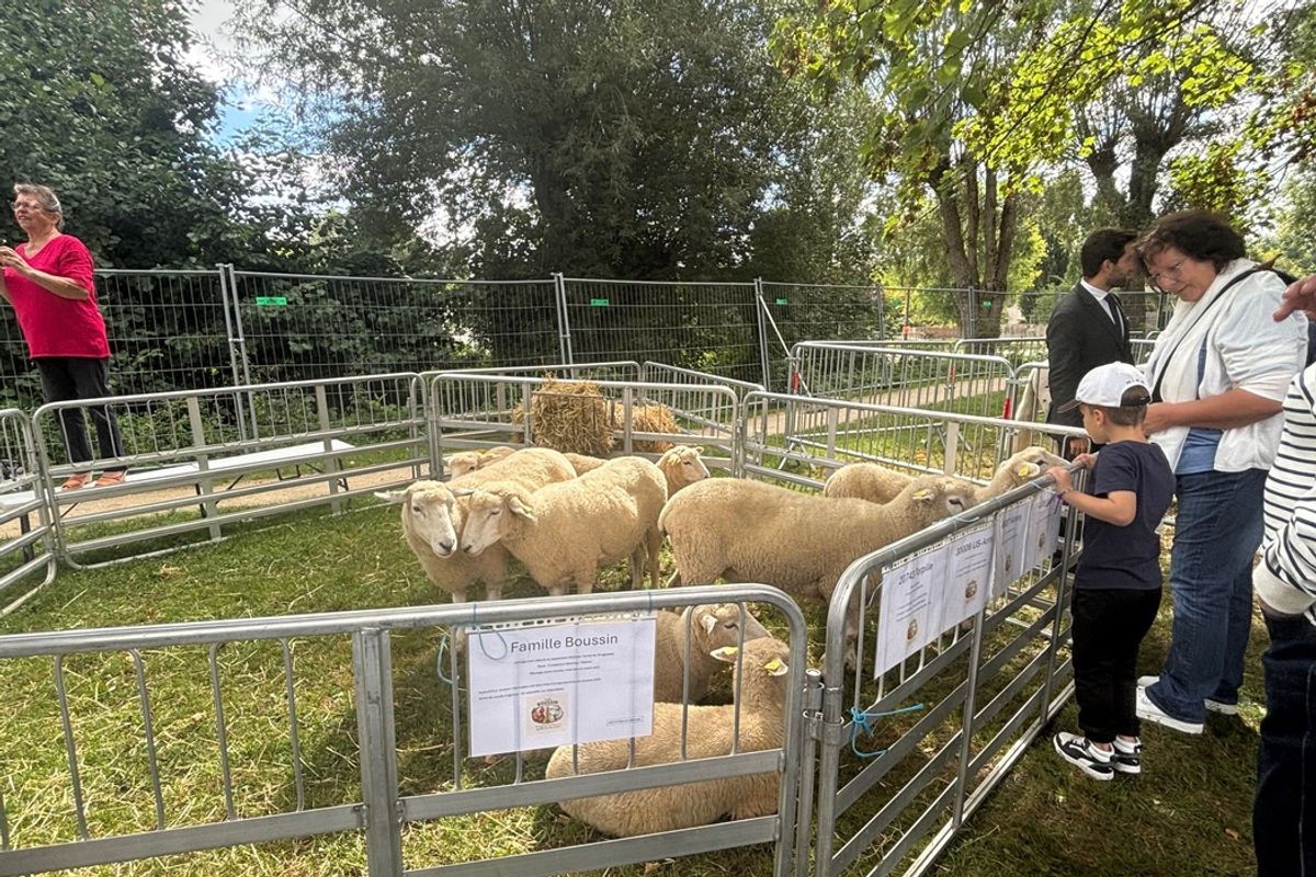 Le comice agricole de Ferrières-en-Gâtinais célèbre la ruralité le temps d’un week-end