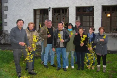 La Saboterie fête le « mimosa creusois »