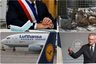 Des "solutions" pour soutenir les plus fragiles, Lufthansa compte supprimer 22.000 postes... Les 5 infos du Midi pile