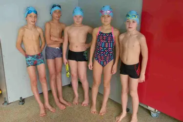 Les nageurs prêts pour la compétition