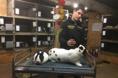 Lucas Ribeiro, 14 ans, élève des lapins de pure race