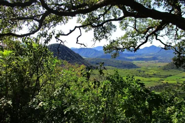 Le Parc naturel régional des Volcans guide le Mexique pour créer ses paysages bio-culturels