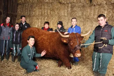 Six élèves du lycée agricole Pompidou préparent le Salon de l'Agriculture