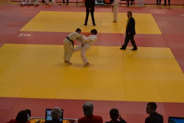 De jeunes judokas gravissent le podium